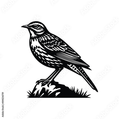 Lark Animal black silhouette vector with white color background