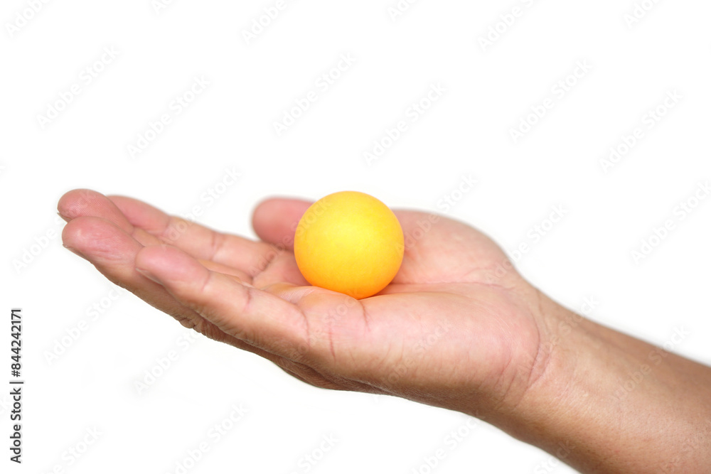 Hand holding orange table tennis ball or Ping pong ball, isolated on white background. concept, sport equipment. Exercise and workout tool. Competitive game sport. Hand holding orange table tennis ball or Ping pong ball, isolated on white background. concept, sport equipment. Exercise and workout tool. Competitive game sport.