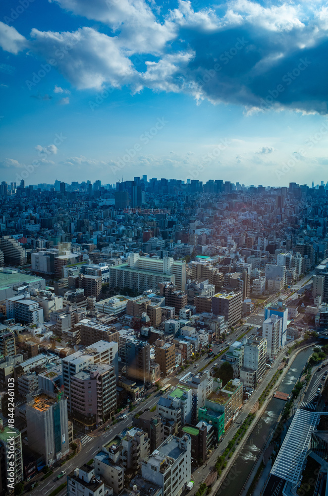 Obraz premium 東京スカイツリーの隣の高層ビルからの東京の街並み