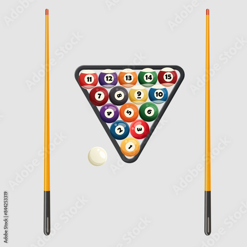 Vector Graphic of Billiard Equipment with Cues