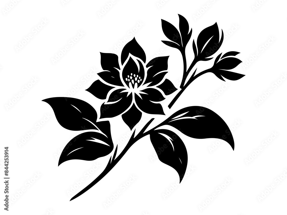 jasmine flower vector illustration. Jasmine flower and leaf drawing vector illustration with line art on white backgrounds. jasmine flower vector illustration. Jasmine flower and leaf drawing vector illustration with line art on white backgrounds.