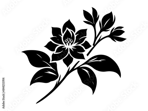 jasmine flower vector illustration. Jasmine flower and leaf drawing vector illustration with line art on white backgrounds.