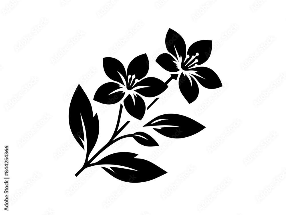 Vector set with outline Jasmine flowers, bud, and leaves in black isolated on white background. Ornate floral elements for spring design and coloring book. Jasmine flower in contour or line art style
