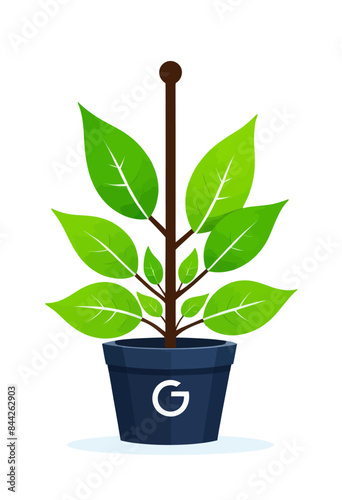 a potted plant with a letter g on it
