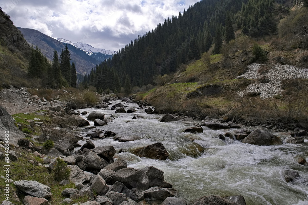 Fototapeta premium Kyrgyzstan, the eastern shore of Lake Issyk-Kul. View of the rocky Arashan River among the mossy rocks of the overgrown gorge.