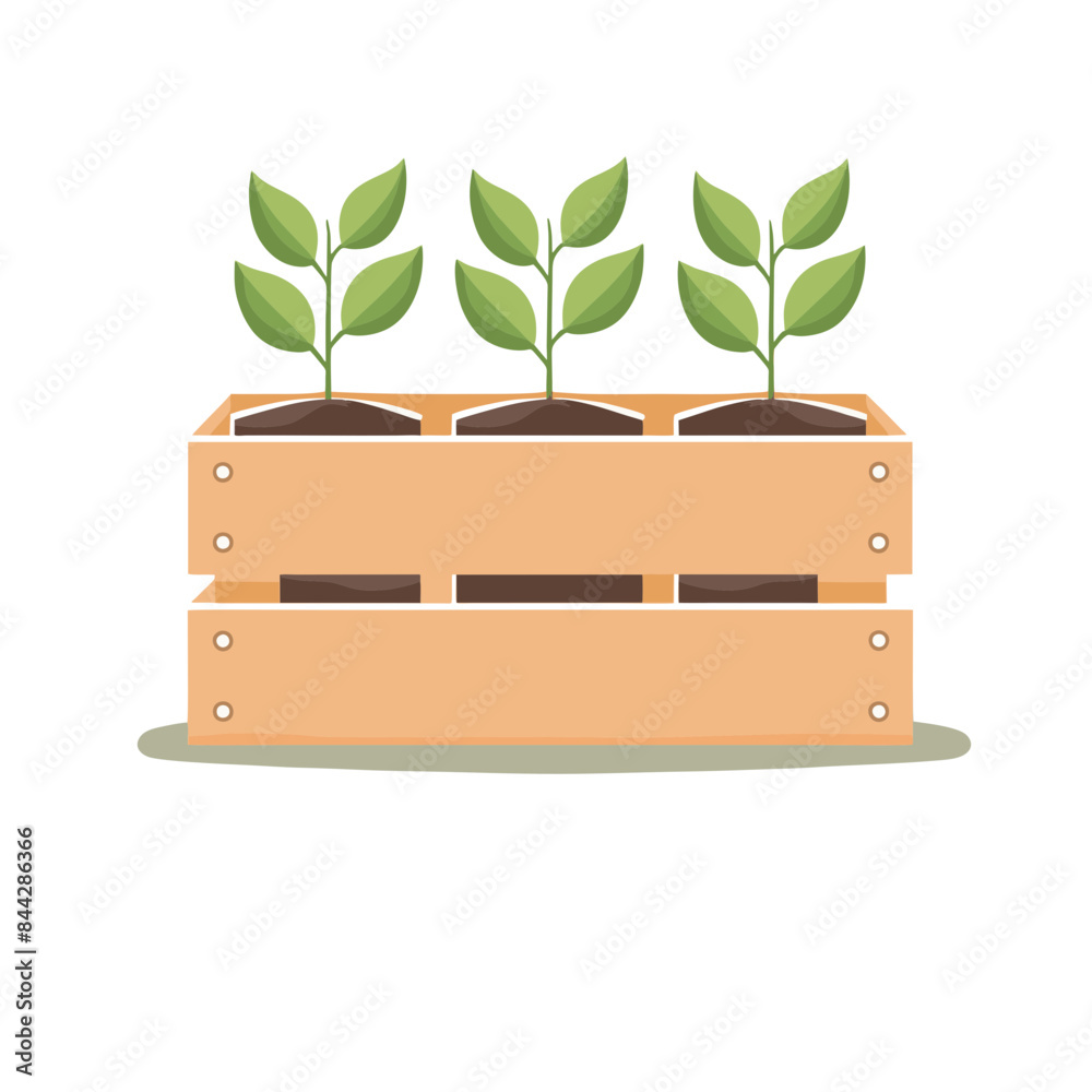 vector plants in wooden box vector plants in wooden box