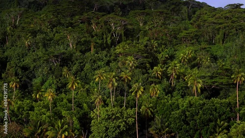 The Island Views of Nature From A Boat - Raitea, French Polynesia photo