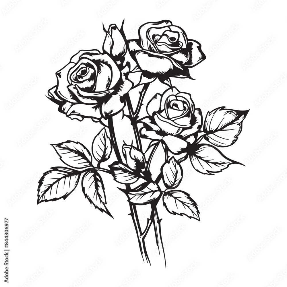 Obraz premium Drawing of roses bouquet, black vector illustration on white background