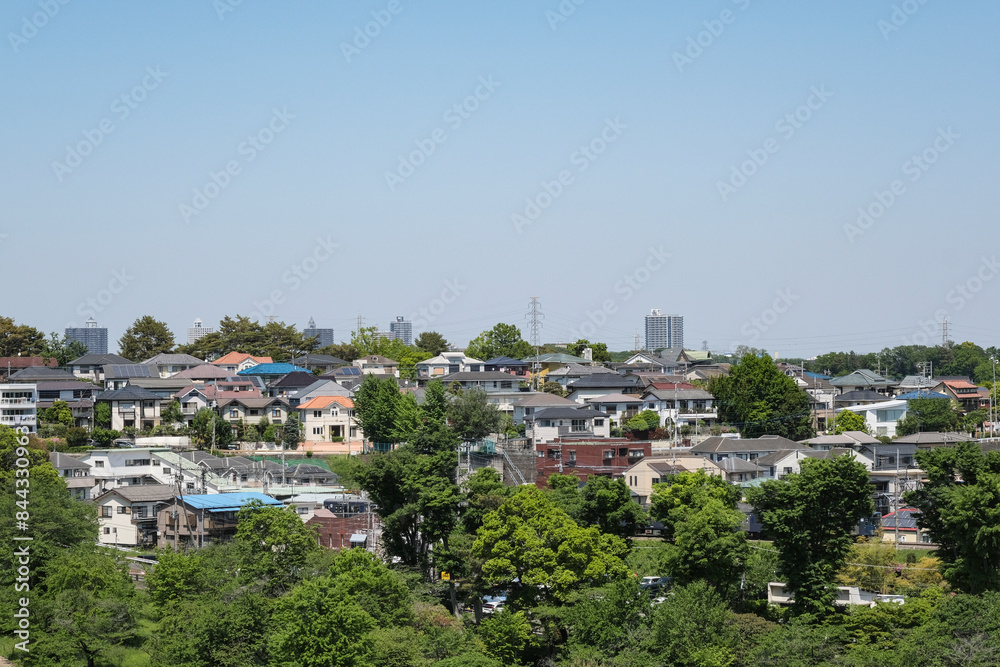 Fototapeta premium 多摩湖の湖岸から見る東村山の市街地