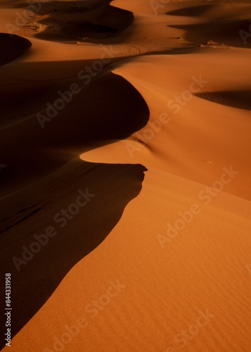 vertical view of sand dunes with gentle curves and interplay of light and shadow