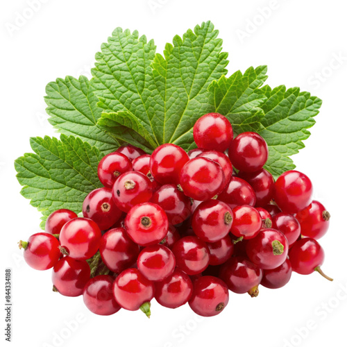 Red currant currant red isolated on Transparent background.