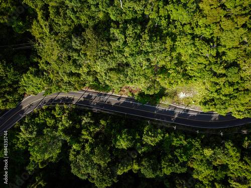 Aerial view apshalt curve road on mountain tropical rainforest photo