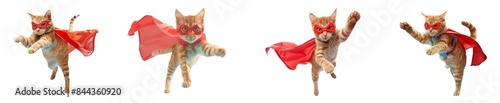 Set of four orange kittens dressed as superheroes with red masks and capes in various dynamic poses with alpha channel
