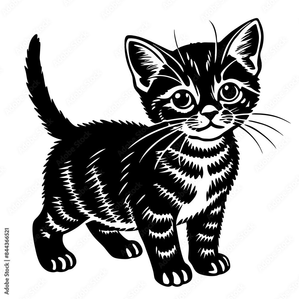 Obraz premium the kitten marvels vector silhouette illustration