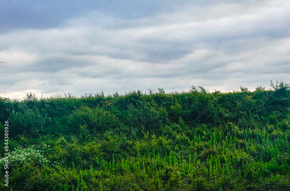 Naklejka premium viaggio a napoli