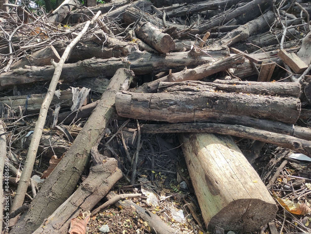 close up texture of dry dead wood suitable for environmental illustrations close up texture of dry dead wood suitable for environmental illustrations