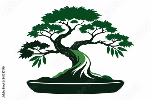 tree plant vector illustration