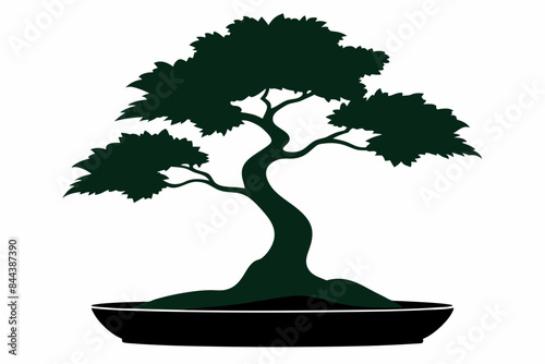 tree nature vector illustration