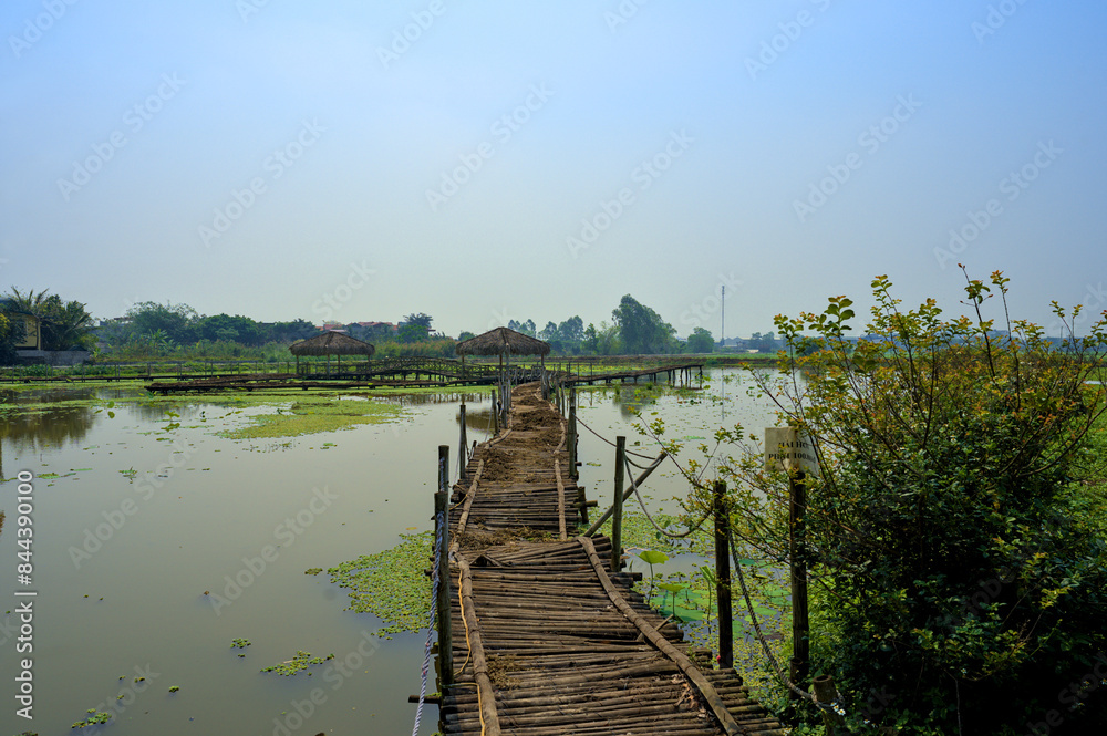 Bamboo Bridge over Lake at Ninh Binh, Vietnam Bamboo Bridge over Lake at Ninh Binh, Vietnam