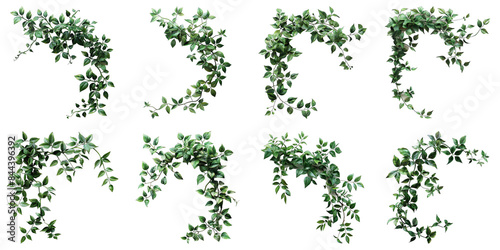 Set of Nature Inspired Decorations isolated on transparent png background. Generative ai