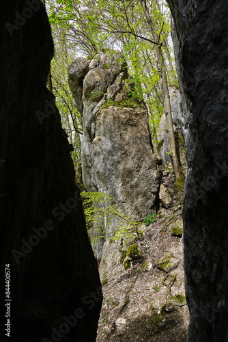 Gespaltener Fels am Hohenwittlingensteig, Biosphärengebiet Schwäbische Alb; Baden Württemberg; Deutschland; photo