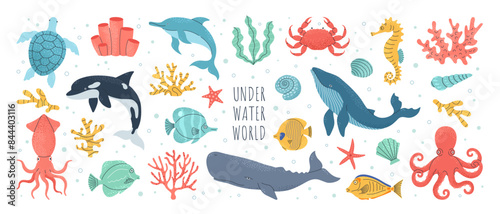 Hand drawn sea animals set. Wild marine life, seashells, fish, seaweed and corals. Whale, octopus, crab, seahorse, dolphin, killer whale, turtle, squid, cachalot. Vector cute cartoon illustration.