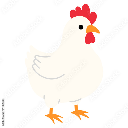 cute white chicken illustration