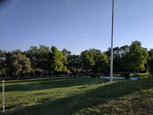 Green meadow in a garden surrounded by trees