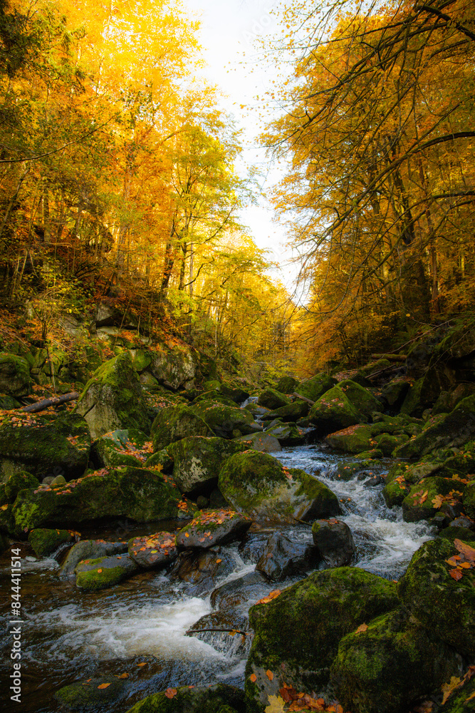 Flusslauf im Herbst im Bayerischen Wald mit buntem Laub Flusslauf im Herbst im Bayerischen Wald mit buntem Laub