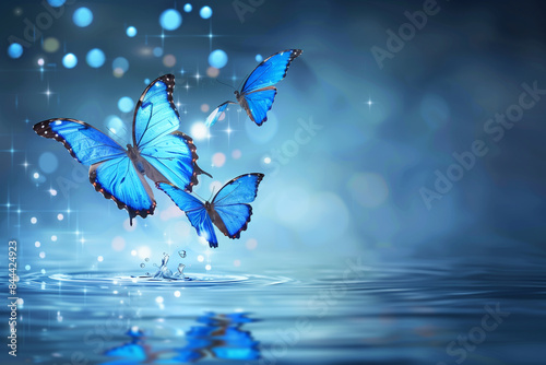 Butterfly shining beautifully pale on a lake at night, Copy Space,Space for text,Generative AI,夜の湖に綺麗に青白く輝いている蝶、コピースペース,テキスト用スペース,Generative AI, photo