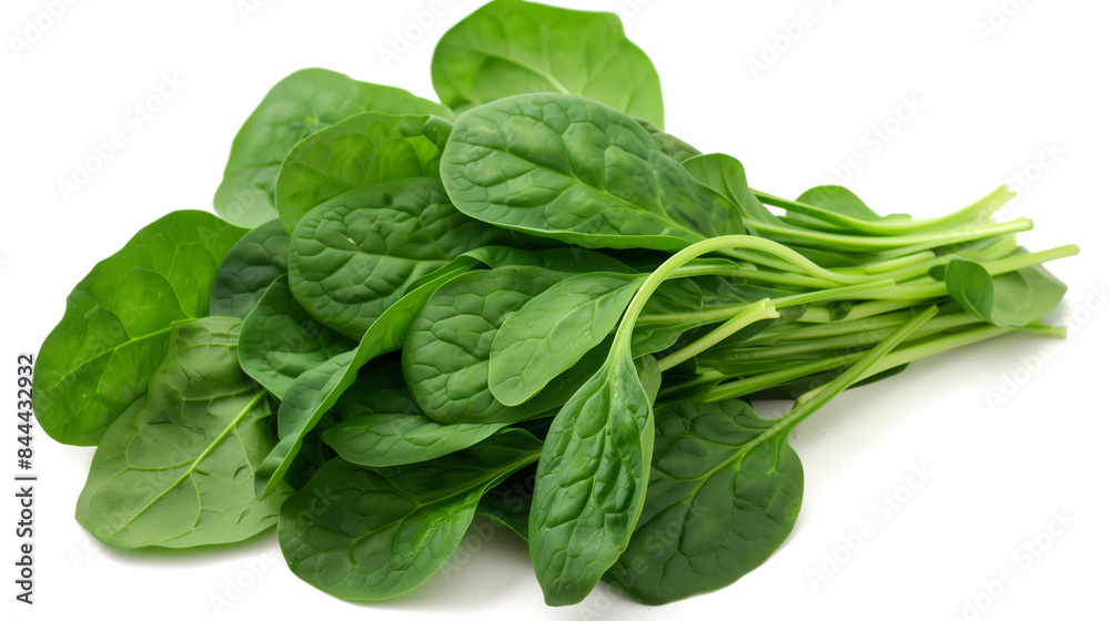 fresh spinach leaves fresh spinach leaves