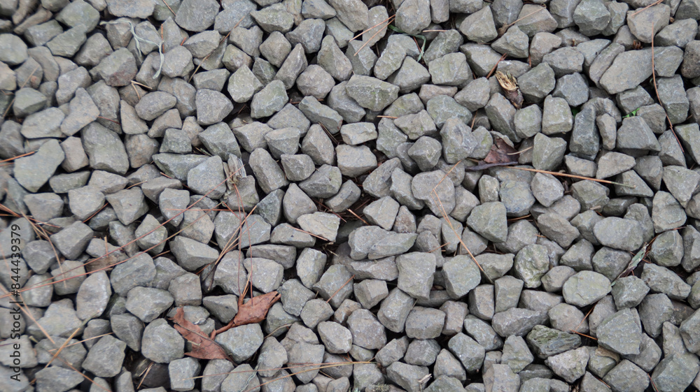 Close up view of small gray gravel stones scattered on the ground with a few dried leaves and pine needles, creating a textured and natural background in an outdoor setting. Close up view of small gray gravel stones scattered on the ground with a few dried leaves and pine needles, creating a textured and natural background in an outdoor setting.