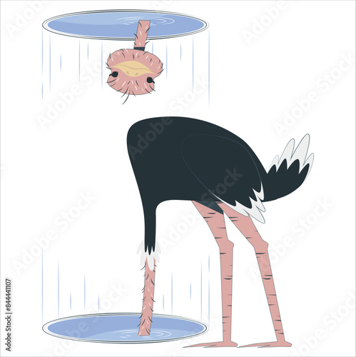 Ostrich head inside of Teleportation Foolish bird having a dead-end circular strategy sticking the head in the sand. Vector illustration of ostrich, which put its head in sand. 2190
