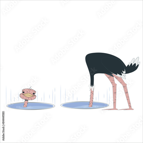Funny Ostrich Looking at camera Vector Cartoon. Foolish bird having a dead-end circular strategy sticking the head in the sand. ostrich burying head in sand ignoring problems. 2190
