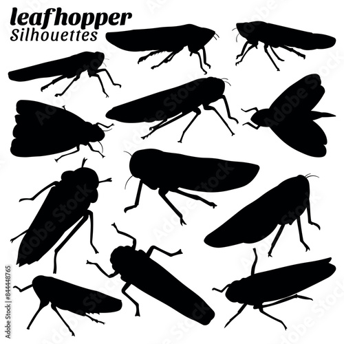 Leafhopper silhouettes vector illustration set