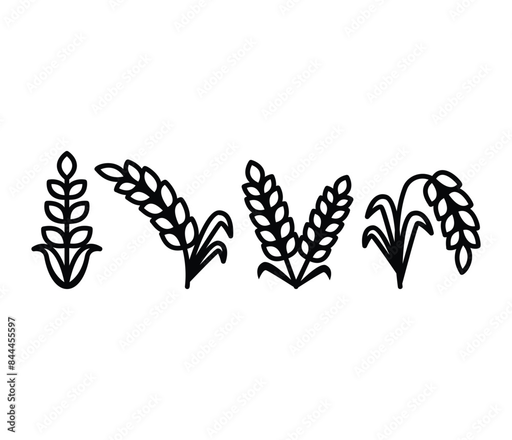 wheat rice grain icons symbol vector design black white colors simple illustration collections sets wheat rice grain icons symbol vector design black white colors simple illustration collections sets