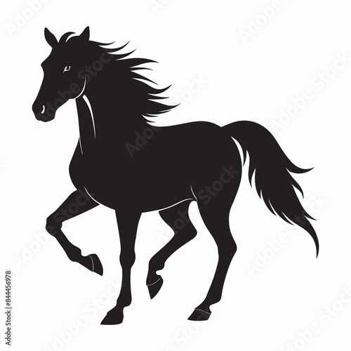 horse silhouette animal isolated on white background