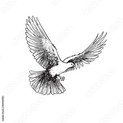 Hand drawn white dove. Flying bird in sketch pen and ink style. Peace and love symbol. Vector illustration.