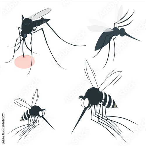 Realistic mosquito. Blood sucking insects, peddler of dengue, zika virus and malaria vector isolated mosquitoes set for repellent spray ad. Realistic mosquito, fly sucker, gnat illustration. 2257
