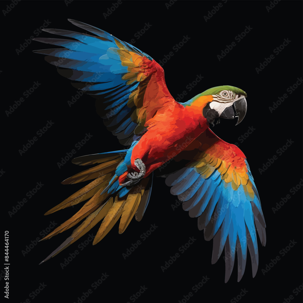 Obraz premium Portrait of a macaw parrot in flight. Color image of a blue-red macaw parrot on a black background.