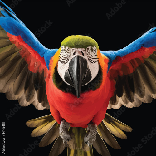 Portrait of a macaw parrot in flight. Color image of a blue-red macaw parrot on a black background.

