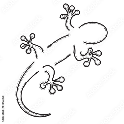 lizard brush strokes on a white background. Vector illustration.