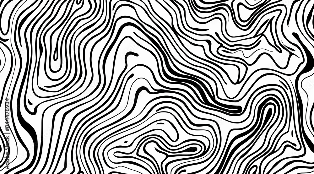 black and white seamless pattern, seamless zebra pattern, zebra skin pattern,  zebra skin texture, black and white seamless pattern, abstract pattern with lines, abstract background, abstract pattern,