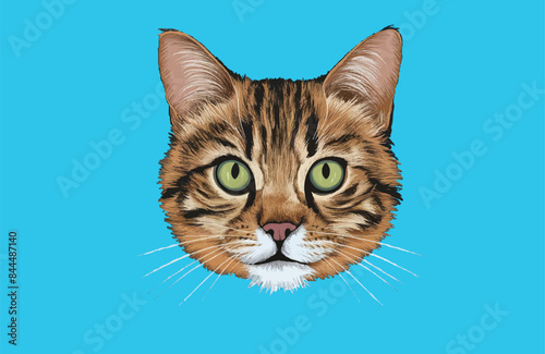 vector isolated silhouette cat set,Portrait of a silver tabby british shorthair cat looking 