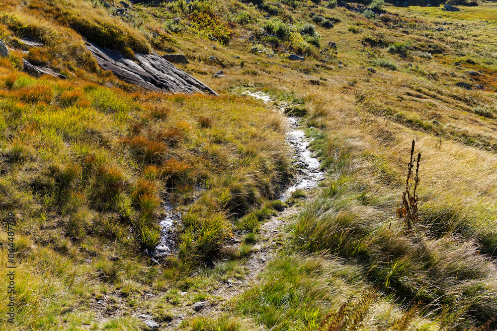 Obraz premium Close-up of hiking trail with stones and grass at Swiss mountain pass Gotthard on a sunny late summer day. Photo taken September 10th, 2023, Gotthard, Switzerland.