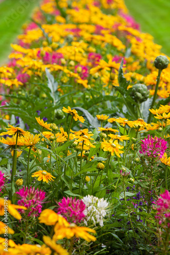 Blumenrabatte aus bunten Sommerblumen in einem Park