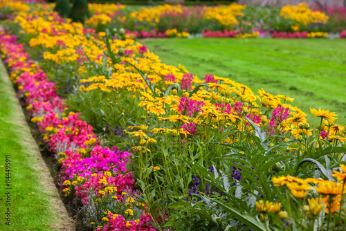 Blumenrabatte aus bunten Sommerblumen in einem Park
