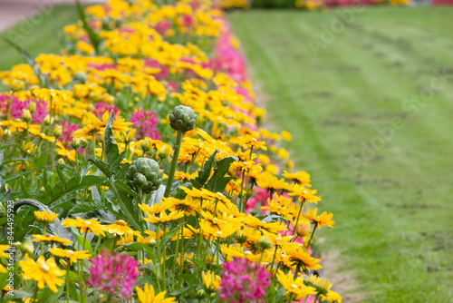 Blumenrabatte aus bunten Sommerblumen in einem Park