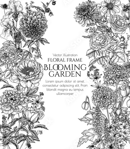 Vector frame blooming garden. Decorative double poppies, Campanula persicifolia peony, rose, dahlia, chrysanthemum, irises and lupine