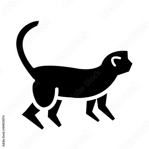 monkey icon
